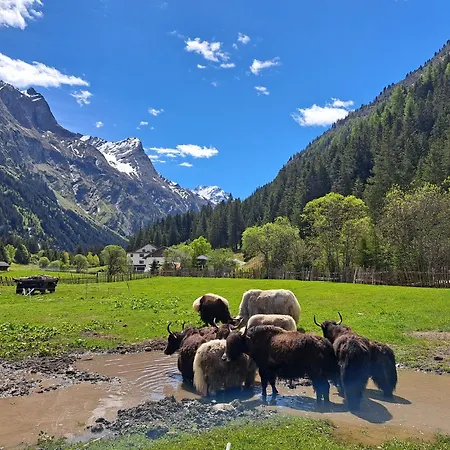 Permadieshof Vandrarhem