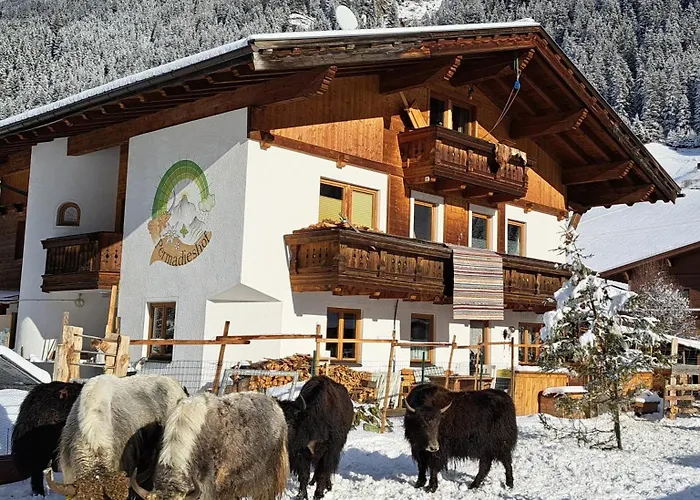 Permadieshof Sankt Leonhard im Pitztal